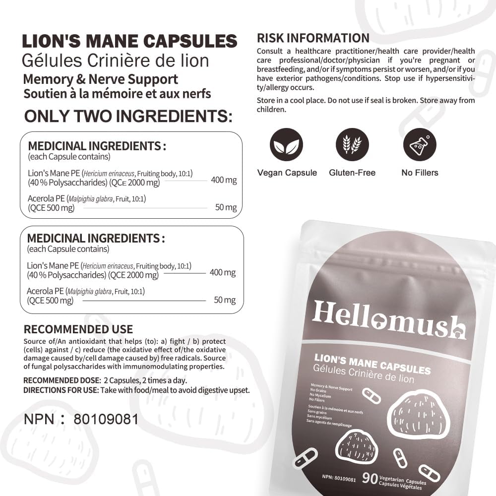 Lion's Mane Brain Boost